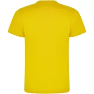   Tricou cu maneca scurta, la baza gatului, Casual, Barbati, Roly, 2410E19019, Bumbac, Galben