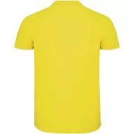   Tricou Polo, Barbati, maneca scurta, Roly, 2401E12313, Bumbac, Galben, Marimi variate