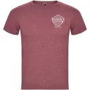 Tricou la baza gatului cu maneca scurta, Barbati, Roly, 2601E10280, Bumbac, Poliester, Rosu Heather Garnet