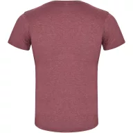   Tricou la baza gatului cu maneca scurta, Barbati, Roly, 2601E10280, Bumbac, Poliester, Rosu Heather Garnet
