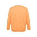Bluza la baza gatului, 42FEB233572, THC Delta, Bumbac, Poliester, Unisex, Portocaliu Coral, S