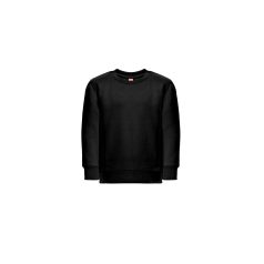   Bluza pentru Copii, 42FEB234893, THC Delta Kids, Bumbac, Poliester, Unisex, Negru, 10