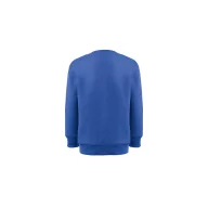   Bluza pentru Copii, 42FEB234884, THC Delta Kids, Bumbac, Poliester, Unisex, Albastru Royal, 12