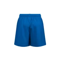   Pantaloni scurti Copii, TH Clothes, 2401E12653, Poliester, Albastru royal, 8