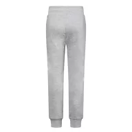   Pantaloni Copii, TH Clothes, 2401E12822, Poliester, Gri melange deschis, 8