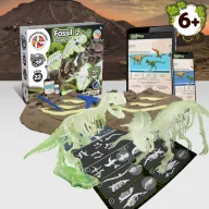   2 in 1 Fossil Excavation Kit I, Joc educational, 2410E23892, Science4You, 263 x 220 x 62 mm, Multicolor