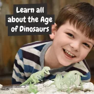   2 in 1 Fossil Excavation Kit I, Joc educational, 2410E23892, Science4You, 263 x 220 x 62 mm, Multicolor