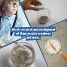 Jurassic Pets Kit I, Joc educational, 2410E24013, Science4You, Multicolor