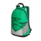 Rucsac sport casual, Everestus, 2601E13745, 270x420x170 mm, Poliester, Verde