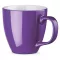 Cana 450 ml hydroglaze, Everestus, 20FEB0828, Portelan, Violet