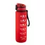 Sticla de apa, Everestus, 2610E18318, 1060 ml, Cu maner, 110 Ø75x270 mm, Plastic, Rosu