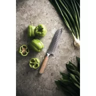   Cutit pentru carne si legume, Vinga, 42FEB232040, 31x1x1 cm, Otel, Argintiu