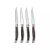 Set 4 cutite de carne, Vinga, 42FEB232035, 26.5x3x2.5 cm, Otel, Argintiu