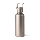 Sticla de apa, Nordic Drift, 2610E18356, 600 ml, Cu maner, 22.5xØ7.2 cm, Metal, Polipropilena, Argintiu