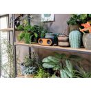 Boxa dubla wireless 10W, design natur, XD, BO, bambus, poliester, negru