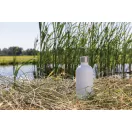 Sticla de apa sport 800 ml, 2401E16386, XD, 21.4xØ8.2 cm, Otel, Alb