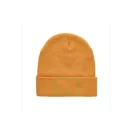 Caciula, Everestus, 42FEB230236, universala, Unisex, 21xØ23.5 cm, Acril, Portocaliu
