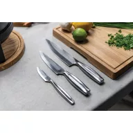   Set cutite de bucatarie, 2502E16005, Boska, 32.7 x 4.4 x 2 cm, Otel, Argintiu steel