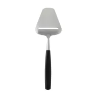   Taietor Cheese, 2502E15838, Boska, 23.5 x 7.5 x 1.1 cm, Otel, Argintiu steel