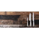 Set cutite de bucatarie, 2502E16004, Boska, 30.5 x 1.5 x 4.5 cm, Otel, Argintiu steel