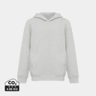   Hanorac cu gluga, Copii, 2502E10168, iqoniq, Bumbac, Gri light, 11--12