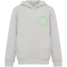 Hanorac cu gluga, Copii, 2502E10171, iqoniq, Bumbac, Gri light, 5--6