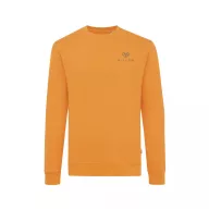   Bluza la baza gatului, 42FEB233375, Iqoniq Zion, Bumbac, Unisex, Portocaliu, L