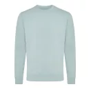 Bluza la baza gatului, Unisex, iqoniq, 2401E13519, Bumbac, Verde ice, M