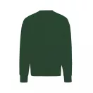 Bluza la baza gatului, 42FEB233148, Iqoniq Kruger, Bumbac, Unisex, Verde, XXL