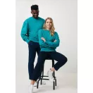 Bluza la baza gatului, 42FEB233194, Iqoniq Kruger, Bumbac, Unisex, Albastru Verdigris, XL