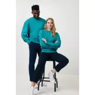   Bluza la baza gatului, 42FEB233195, Iqoniq Kruger, Bumbac, Unisex, Albastru Verdigris, XS