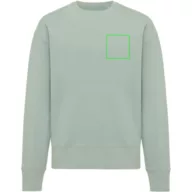   Bluza unisex, 2509E17128, iqoniq, 79.5x73x1 cm, Bumbac, Verde ice, 3XL