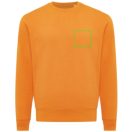 Bluza Unisex, 2502E10672, iqoniq, Bumbac, Portocaliu, XXS