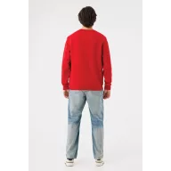 Bluza, iqoniq, 2610E16269, Unisex, Bumbac, Rosu, XXS