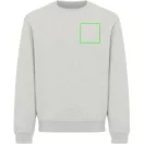 Bluza, iqoniq, 2610E16211, Unisex, Bumbac, Gri Light, S