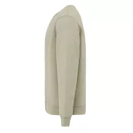 Bluza, iqoniq, 2610E16203, Unisex, Bumbac, Verde Light, XS