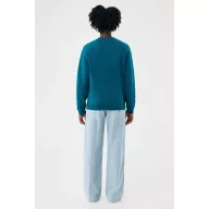   Bluza, iqoniq, 2610E16151, Unisex, Bumbac, Albastru Dark Teal, L