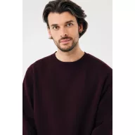 Bluza, iqoniq, 2610E16219, Unisex, Bumbac, Rosu Merlot, S