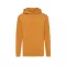 Hanorac cu gluga, 42FEB233101, Iqoniq Jasper, Bumbac, Unisex, Portocaliu, XXS
