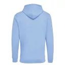 Hanorac cu gluga, unisex, 2509E17127, iqoniq, 66x47.5x1 cm, Bumbac, Albastru sky, XXS