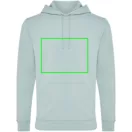 Hanorac cu gluga, Unisex, 2502E10096, iqoniq, Bumbac, Verde ice, XXS