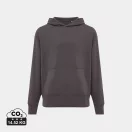 Hanorac cu gluga, Unisex, 2502E10326, iqoniq, Bumbac, Gri antracit, L