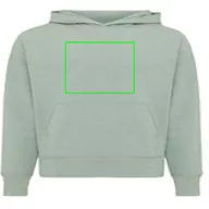   Hanorac cu gluga, casual, Unisex, iqoniq, 2410E18402, Bumbac, Verde ice, L