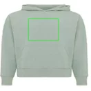 Hanorac cu gluga, casual, Unisex, iqoniq, 2410E18407, Bumbac, Verde ice, XXL