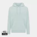 Hanorac cu gluga, Unisex, iqoniq, 2401E13712, Poliester, Verde ice, 3XL
