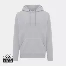 Hanorac cu gluga, Unisex, iqoniq, 2401E13717, Poliester, Gri storm, XS