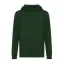 Hanorac cu gluga, Unisex, iqoniq, 2401E13754, Bumbac, Verde forest, 3XL