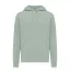 Hanorac cu gluga, casual, Unisex, iqoniq, 2410E18355, Bumbac, Verde ice, XXL