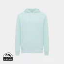 Hanorac cu gluga, Unisex, 2502E10101, iqoniq, Bumbac, Albastru mint, XL