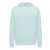 Hanorac cu gluga, Unisex, 2502E10103, iqoniq, Bumbac, Albastru mint, XXL